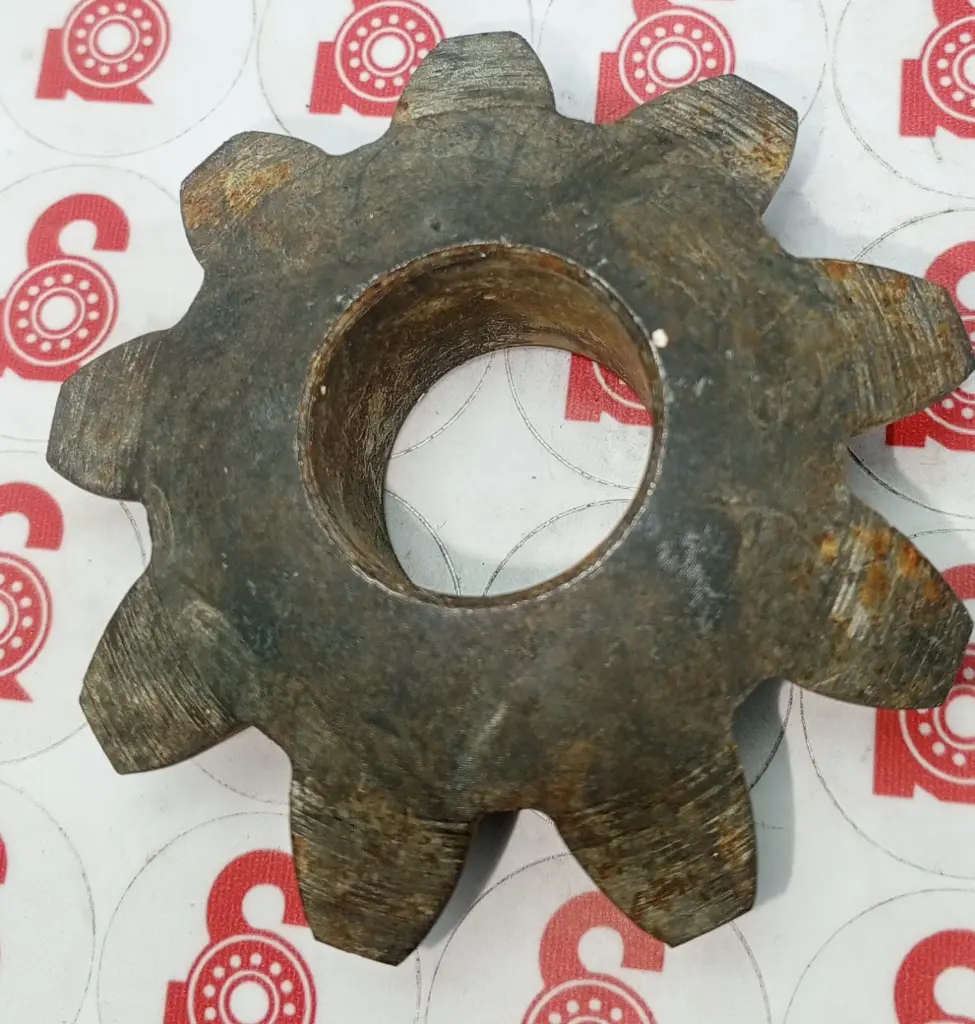 WhatsApp Image 2025-06-25 at 10.37.34 AM (1).webp