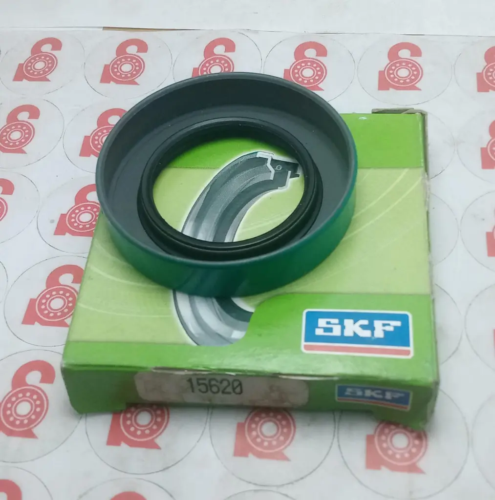 WhatsApp Image 2025-07-15 at 5.25.01 PM (1).webp