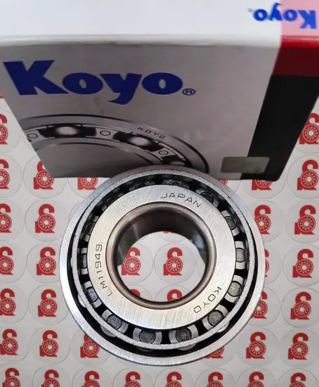 WhatsApp_Image_2025-12-06_at_8.52.08_AM__1_-removebg-preview (1).webp