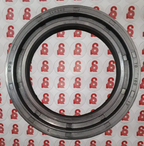 RETEN MILIMETRICO 70-100-13DR 114348(SOG) 